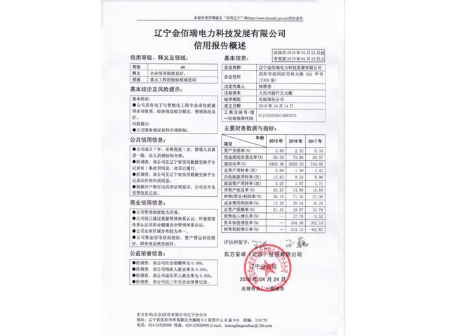 金佰瑞电力科技公司信息报告AA级证书