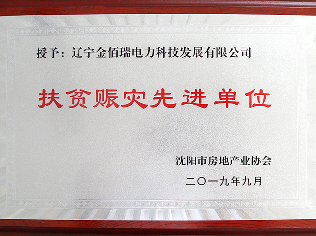 2019扶贫赈灾先进单位